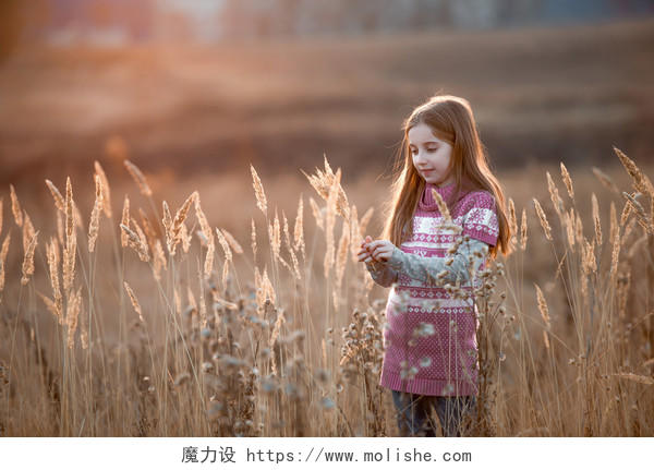 漂亮的小女孩在秋天的田野里玩耍
